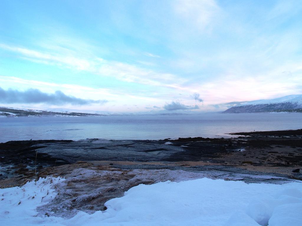 Vikran Vacation: Sea Fishing And Northern Lights Kültér fotó