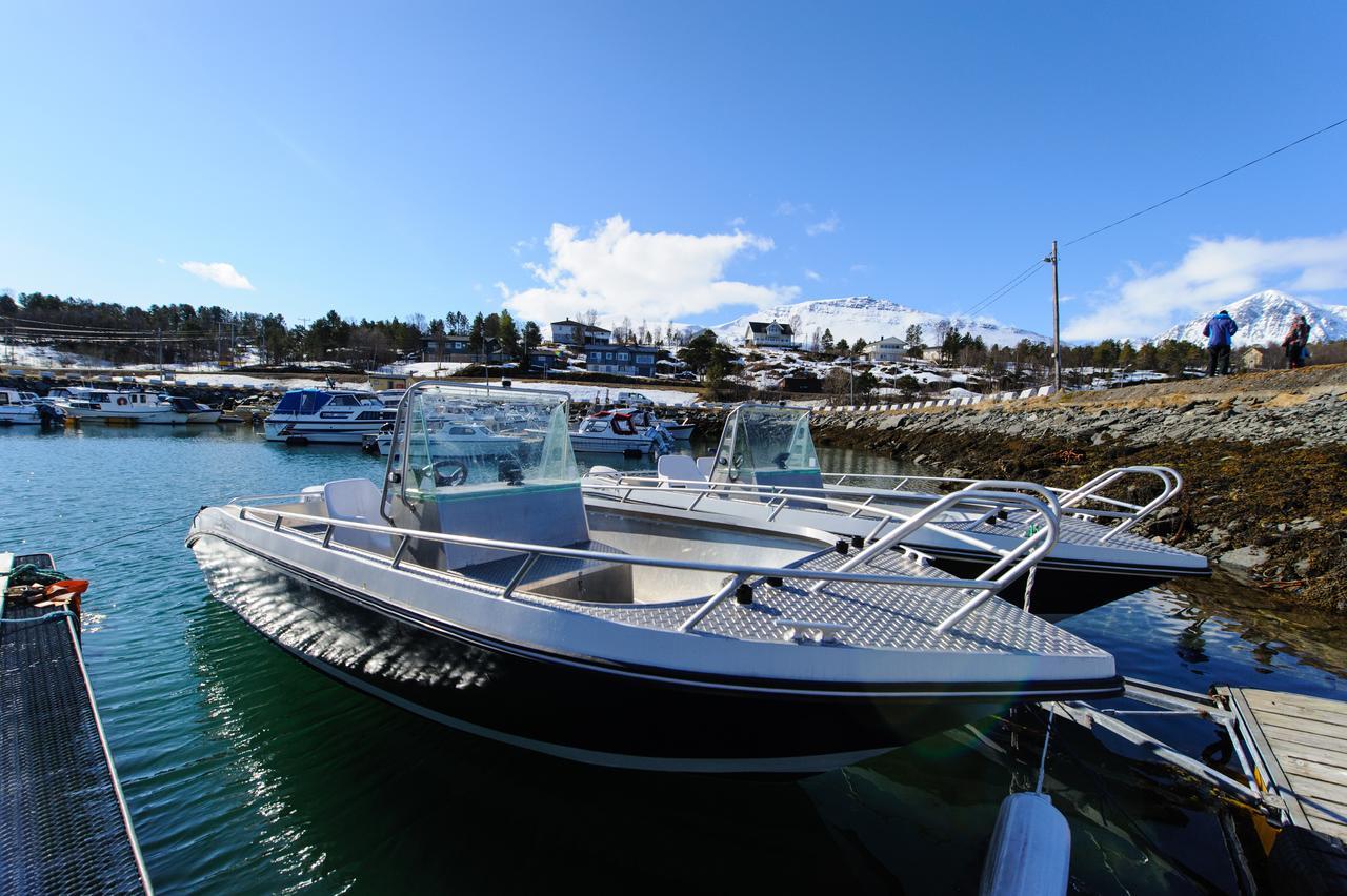 Vikran Vacation: Sea Fishing And Northern Lights Kültér fotó