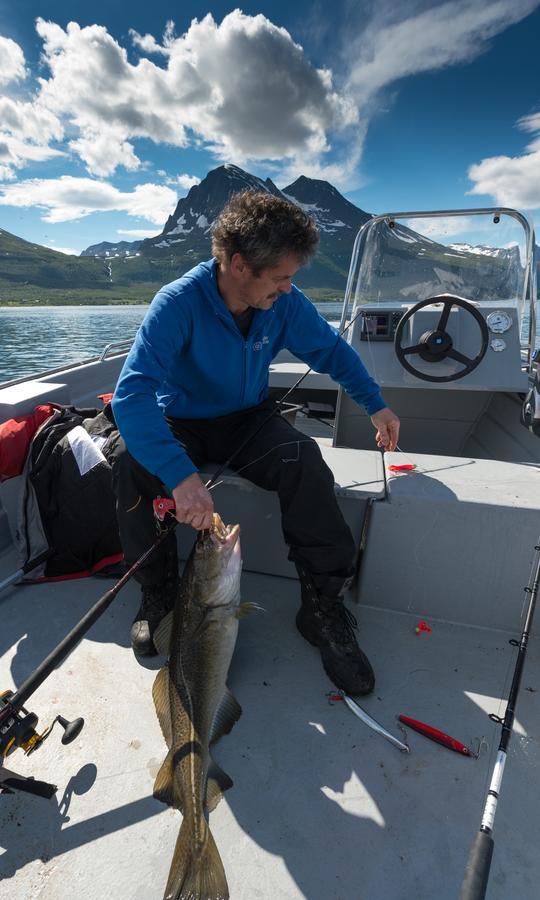 Vikran Vacation: Sea Fishing And Northern Lights Kültér fotó