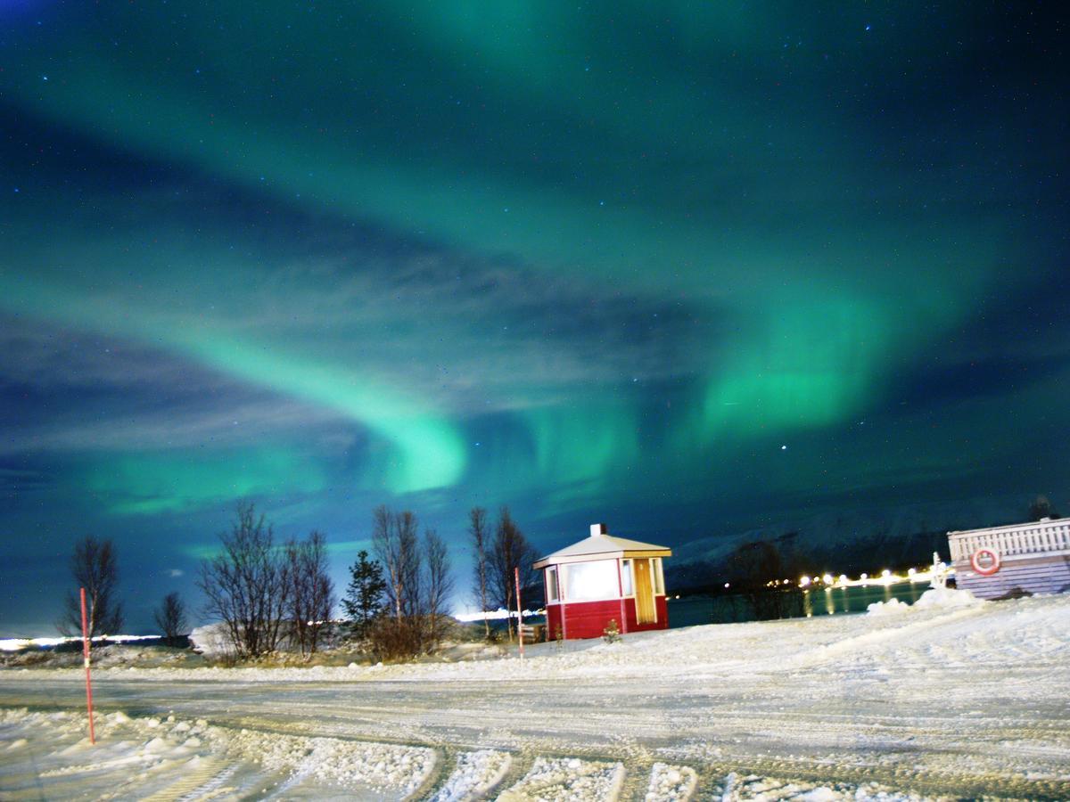 Vikran Vacation: Sea Fishing And Northern Lights Kültér fotó