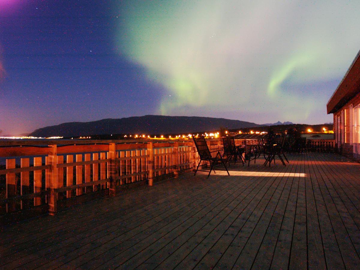 Vikran Vacation: Sea Fishing And Northern Lights Kültér fotó